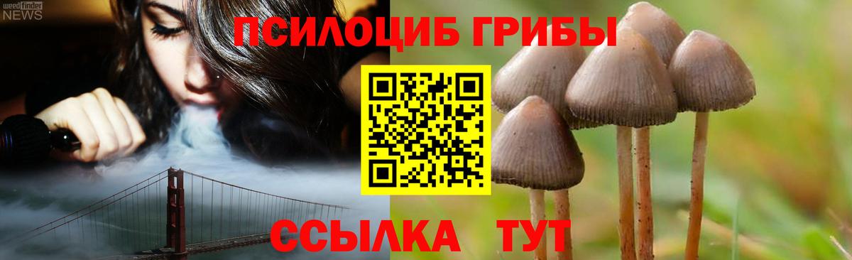 Азов  где купить   Галлюциногенные грибы мухоморы  Вход с VPN  Псилоцибиновые грибы GOLDEN TEACHER 